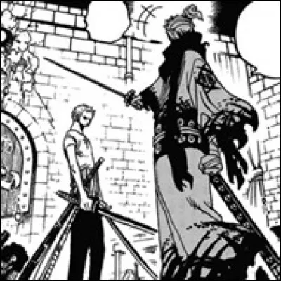 Dans le manoir de Thriller Bark, Zoro disparaît...