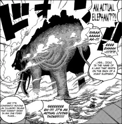 Que peut-on remarquer sur l'île de Zô ?