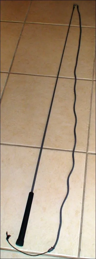 Comment s'appelle l'objet sur l'image ?