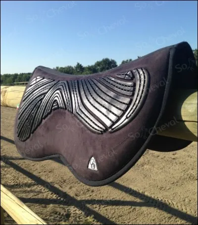 Comment s'appelle cet objet que l'on met avant la selle ?