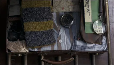 Que transporte Norbert dans sa valise ?