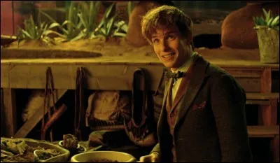 Comment appelle-t-on une personne qui étudie des animaux fantastiques ?