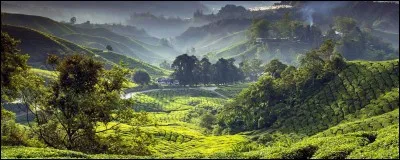 Lequel de ces sites pourrait éventuellement être malaisien ?