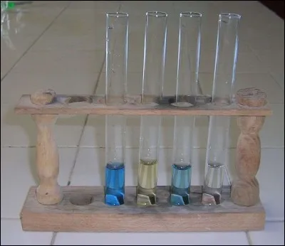 Les feuilles mortes ont un rôle sur l'eau de l'aquarium, mais lequel ?