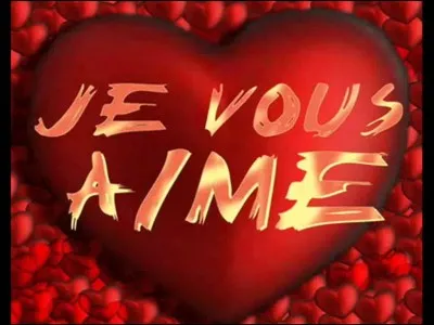 Vous - Comment dit-on "merci" en néerlandais ?