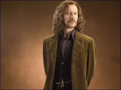 Qui joue Sirius Black ?