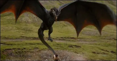 Combien de dragons la mère des dragons possède-t-elle ?