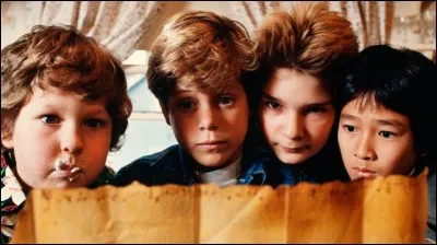 Le pirate s'appelle Willy Leborgne.