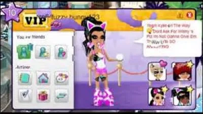 Combien de temps peut-on être VIP au maximum ?