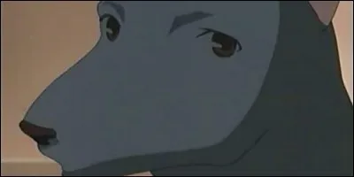 Dans "Fruits Basket", lequel des Sôma se transforme en chien ?