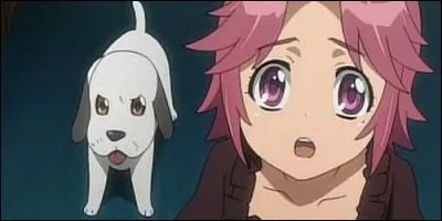 Dans "Highschool of the Dead", comment s'appelle le chien ?