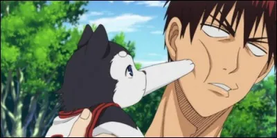 Dans "Kuroko's Basket", quel membre de Seirin a peur de cet adorable chien ?