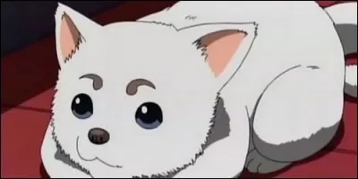 Dans "Gintama", Sadaharu est :