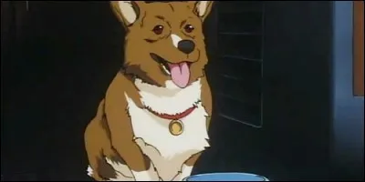 Dans "Cowboy Bebop", de quelle race est Ein ?