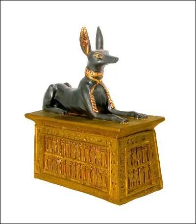 Anubis est représenté par un :