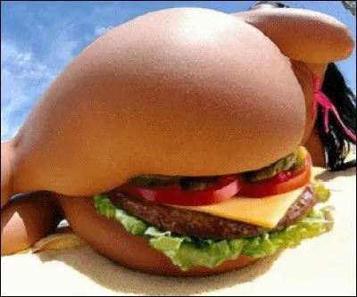 Ce "hamburger" est très _______ !