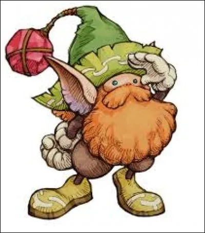 Ce _______ a un _______ de bonnet.