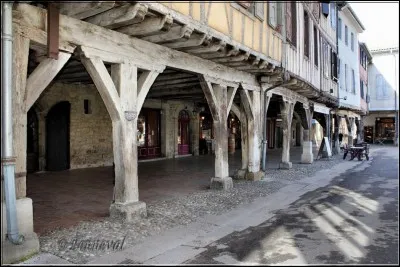 Les chevaliers faydits étaient des chevaliers occitans dépossédés de leurs biens. Quel est celui qui n'appartient pas à ce groupe ?