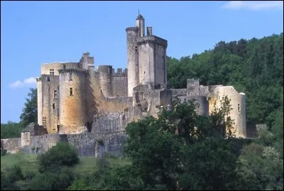 Un de ces châteaux n'est pas une forteresse cathare. Lequel ?