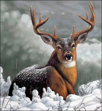 Qui puis-je bien protéger ?