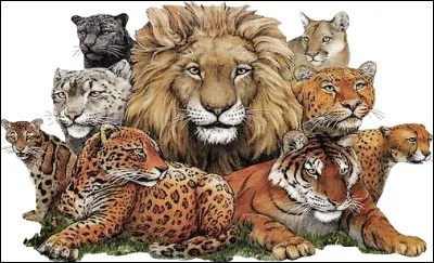 Qui pouvons-nous être ?