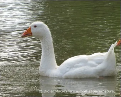 Que dire de mon homonyme ?