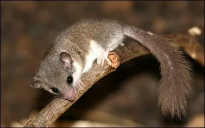 Où pourrez-vous me trouver ?