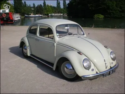 La "bête à bon Dieu" pourrait être le surnom de cette Coccinelle...