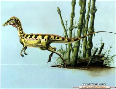 Agnosphitys, son nom signifie...