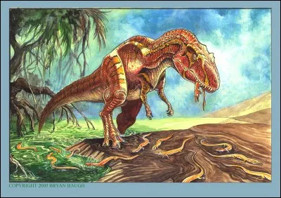 Maintenant, voici les dinosaures qui régnaient sur le monde de la même manière que le tyrannosaure rex. Il y avait le saurophaganax, dont le nom signifie...