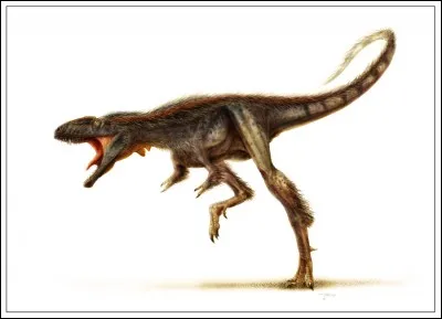Le raptorex, son nom signifie...
