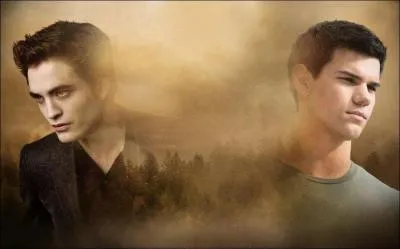 Pourquoi Edward quitte Bella dans Tentation ?