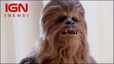 Quelle est l'espèce du Chewbacca ?