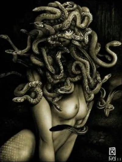Pour avoir osé disputer de la beauté avec une déesse, et se préférer à elle, cette dernière irritée transforma la magnifique chevelure de la Méduse en affreux serpents : qui est-elle ?