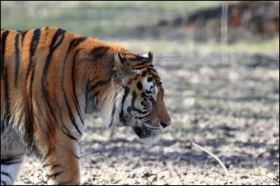 Où pouvez-vous espérer me voir ?