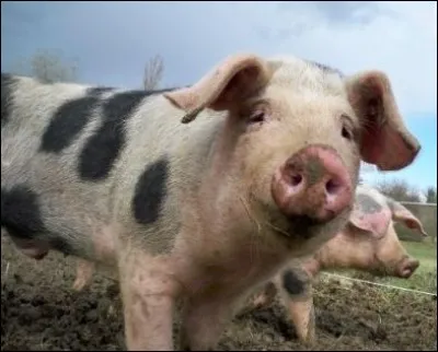 Et en quoi puis-je vous être utile ?