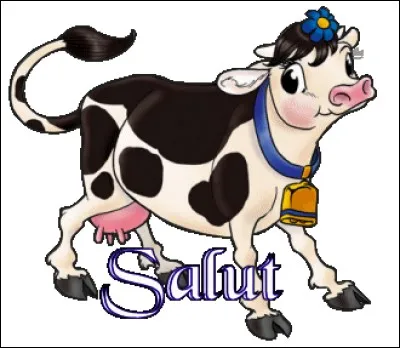 Enlève une lettre au mot "cheval". Mélange les autres pour obtenir le nom de cet animal. Tu enlèves la lettre...