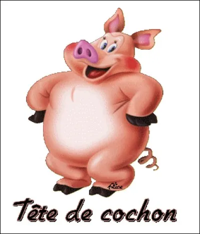 Tu reconnais cet animal mais comment écris-tu son nom ?