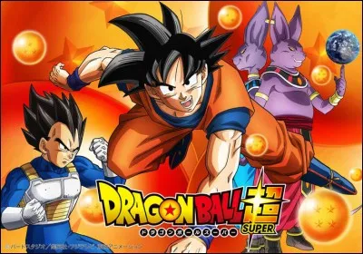 Qui a organisé le tournoi entre les univers 6 et 7 ?