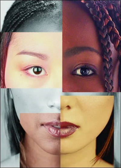 Qu'est-ce qu'une race ?