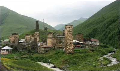 Laquelle de ces formes politiques est celle de la Géorgie ?