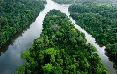 GUYANE - Avec quel grand pays d'Amérique du sud ce département français est-il frontalier ?