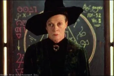Un des professeurs d'Harry Potter, qui est-ce ?