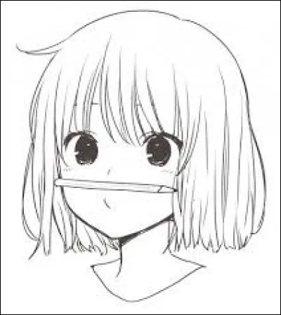 La plus petite île du Japon est...