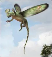 A qui appartient-il?