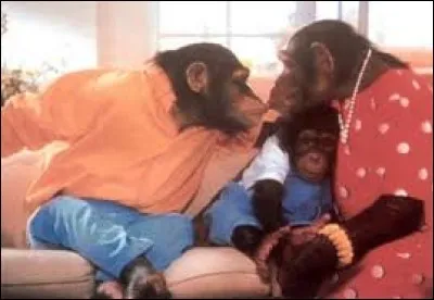 De quel produit cette famille singe vante-t-elle les mérites dans une publicité des années 90 ?