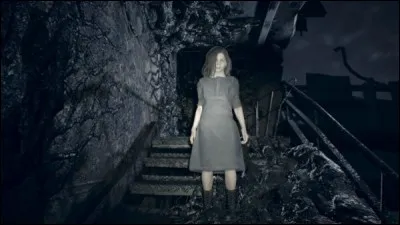 Dans quel but a été créée Eveline ?