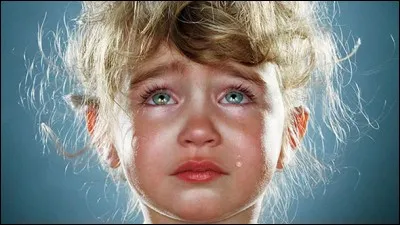 Je possède plusieurs couches et je fais partie de la famille des Amaryllidaceae. Qui suis-je ?