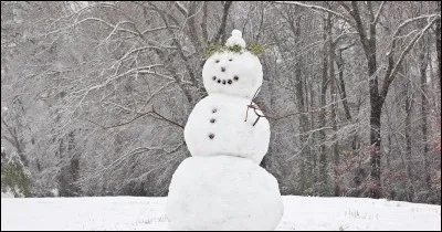 Enfin, je suis enracinée dans le sol, de couleur orangée et on peut me cuisiner en purée, rappée, au beurre, Vichy, etc. Qui suis-je ?