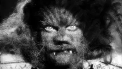 Je suis un puissant colorant ayant tendance à colorer les selles. On me mange le plus souvent cuite. Qui suis-je ?